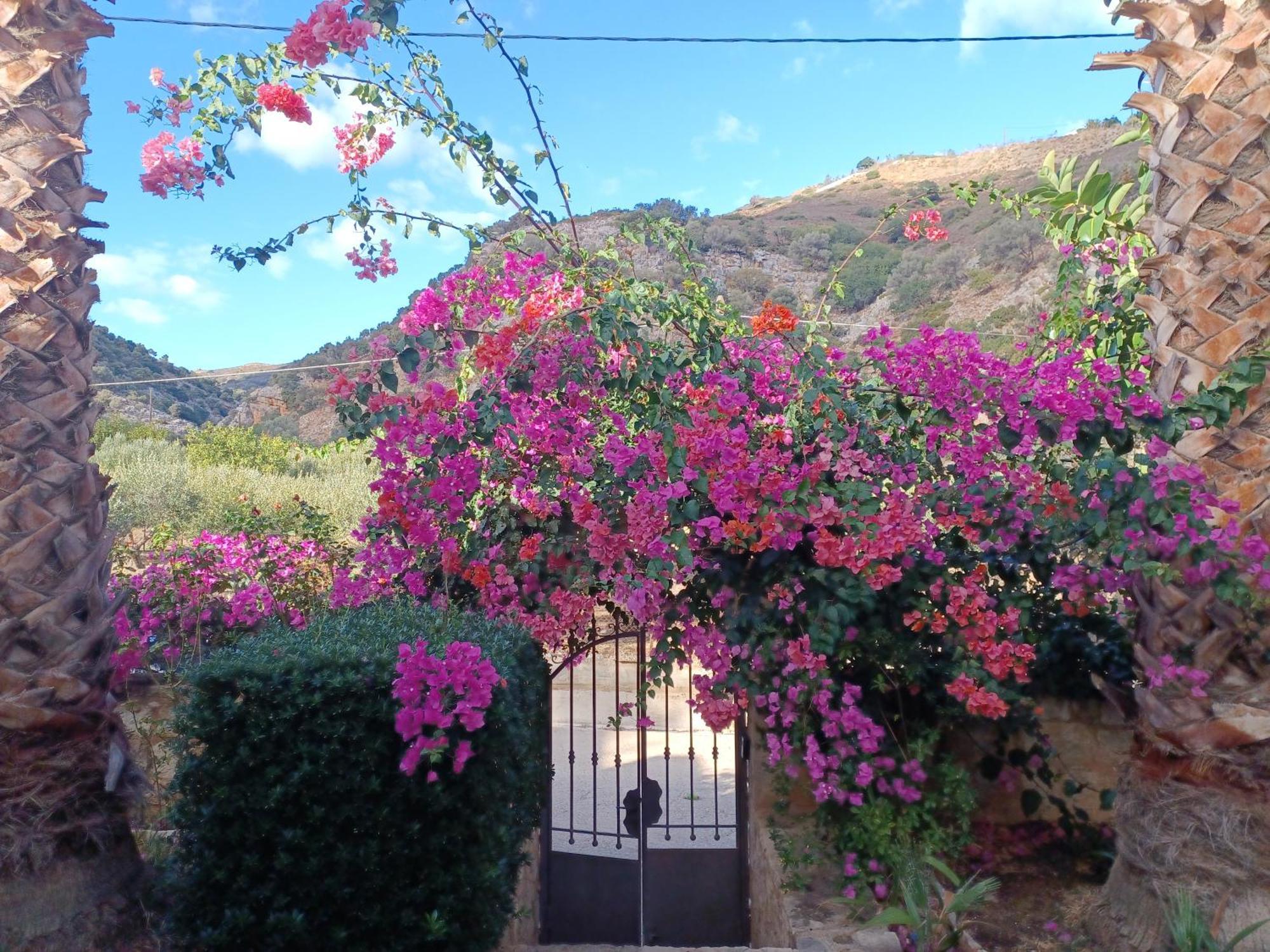 Heraklion Comfy House With Mountain View Экстерьер фото