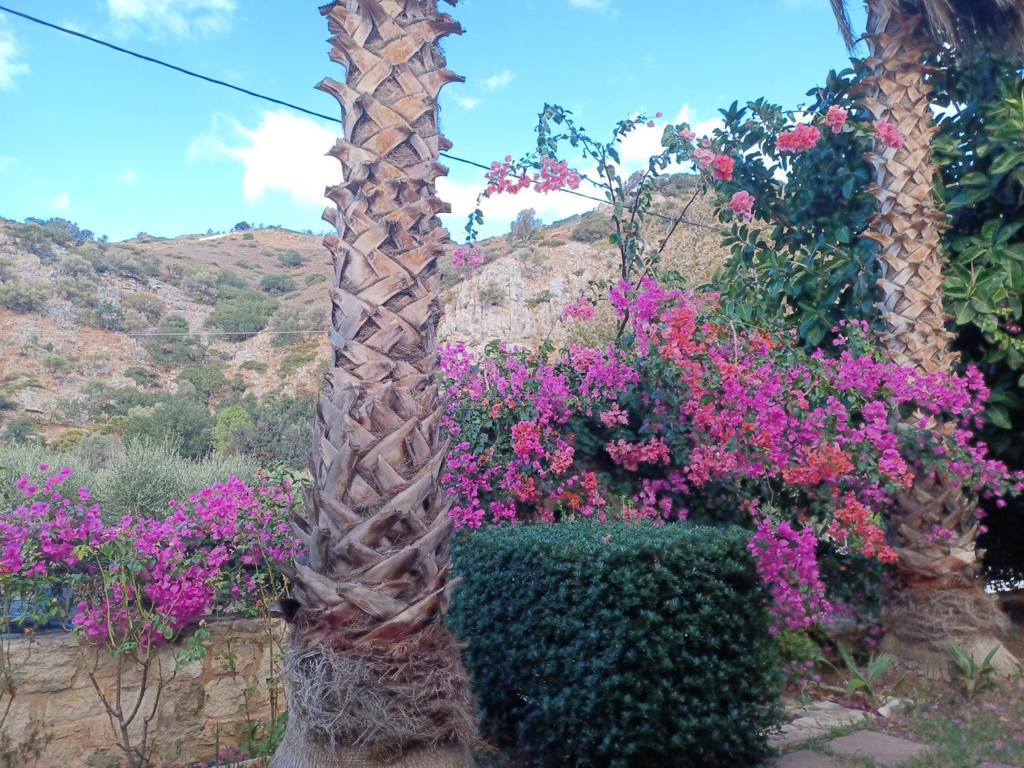 Heraklion Comfy House With Mountain View Экстерьер фото